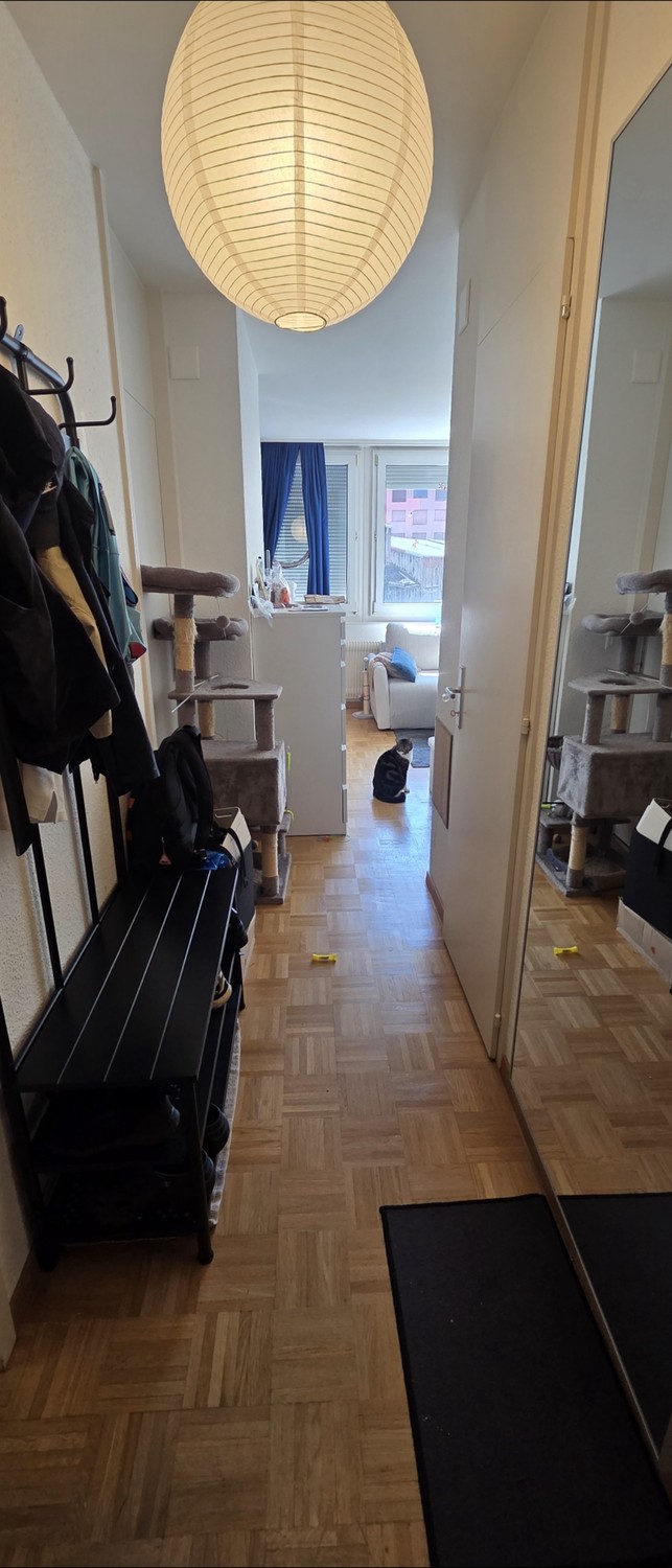 2 rooms apartment