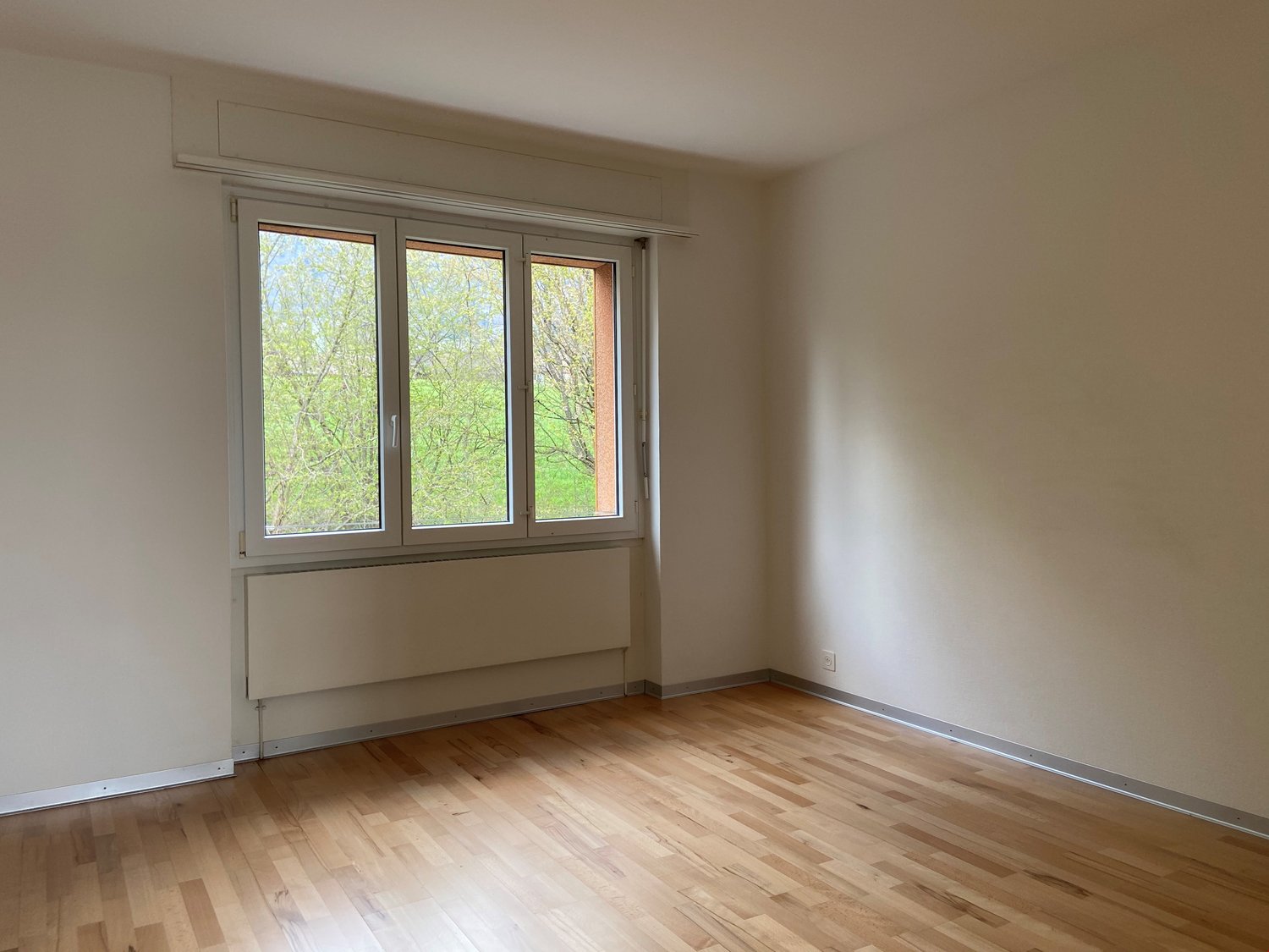4 ½ rooms apartment