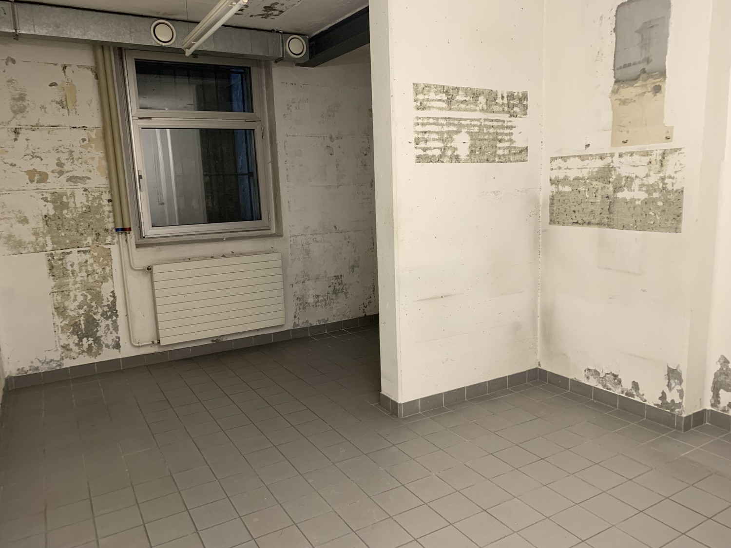 23m² cantina