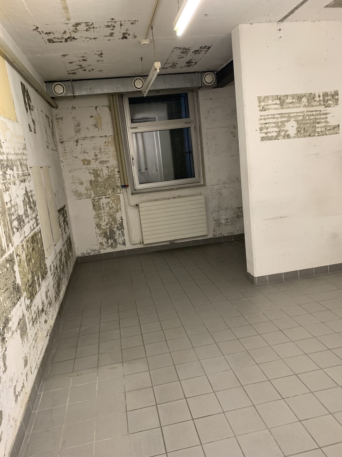 23m² cantina