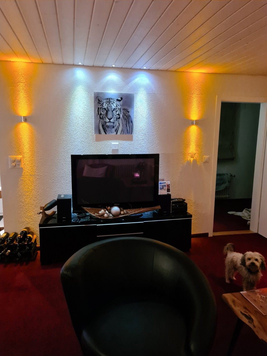 Casa singola con 5 ½ locali