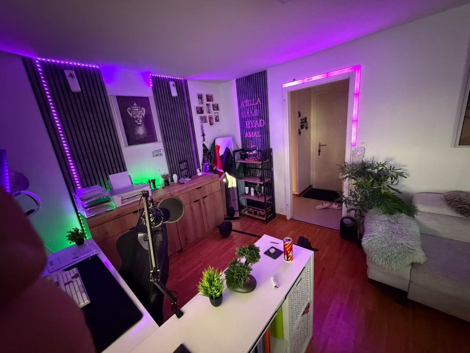 2 ½ rooms apartment