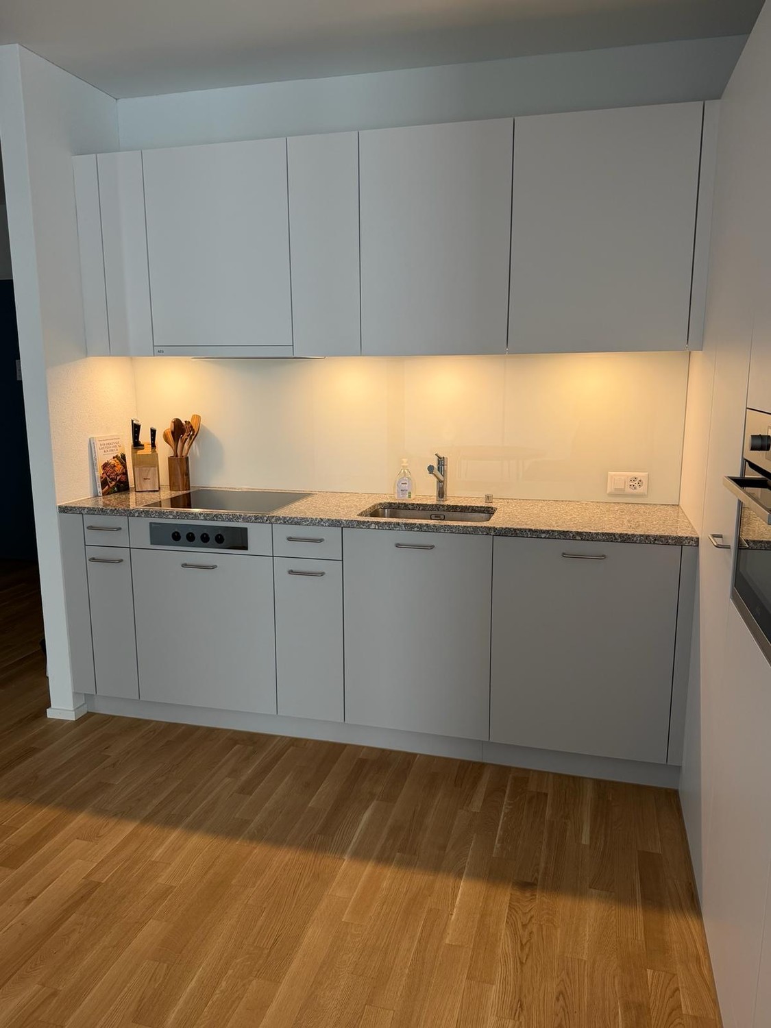 2 ½ rooms apartment