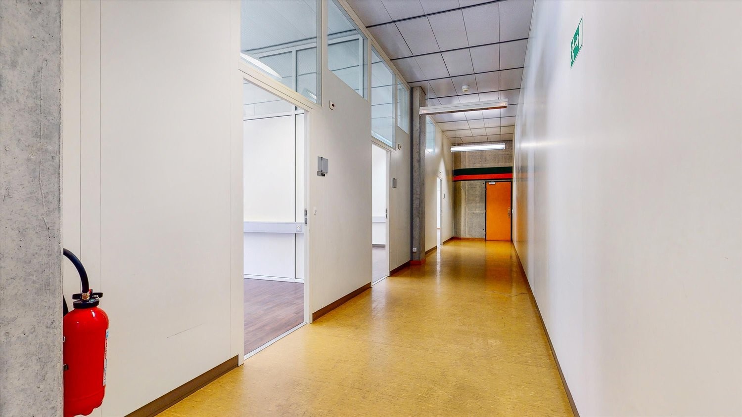 253m² ufficio