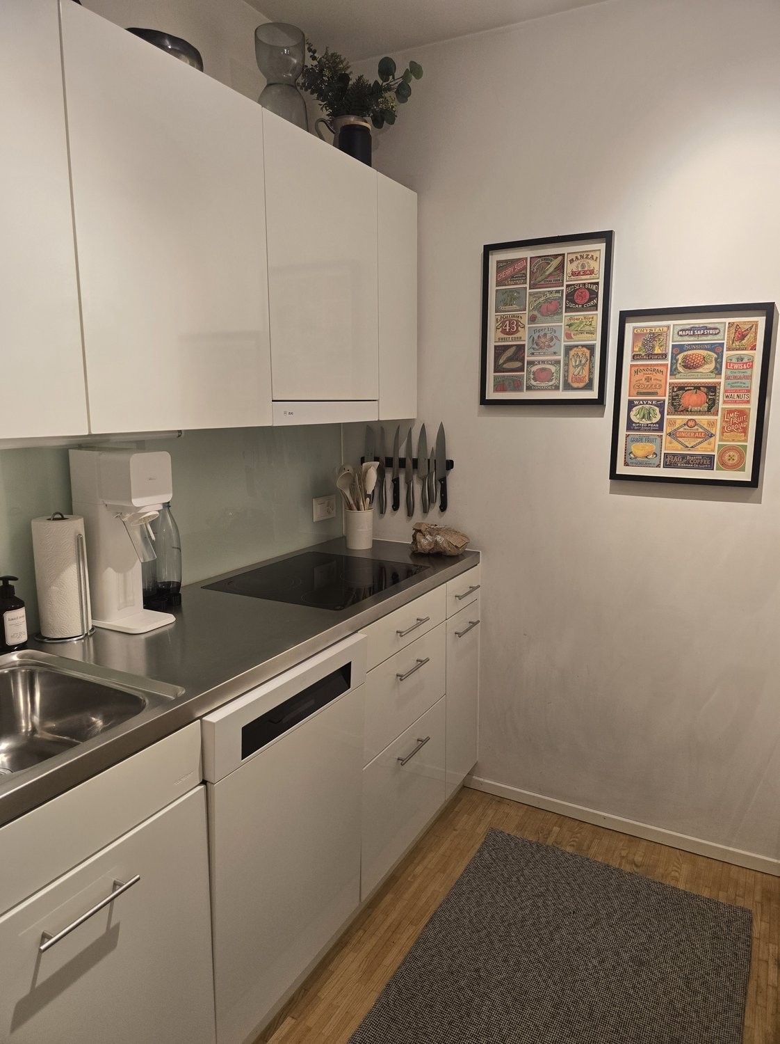 Appartement meublé de 2 ½ pièces