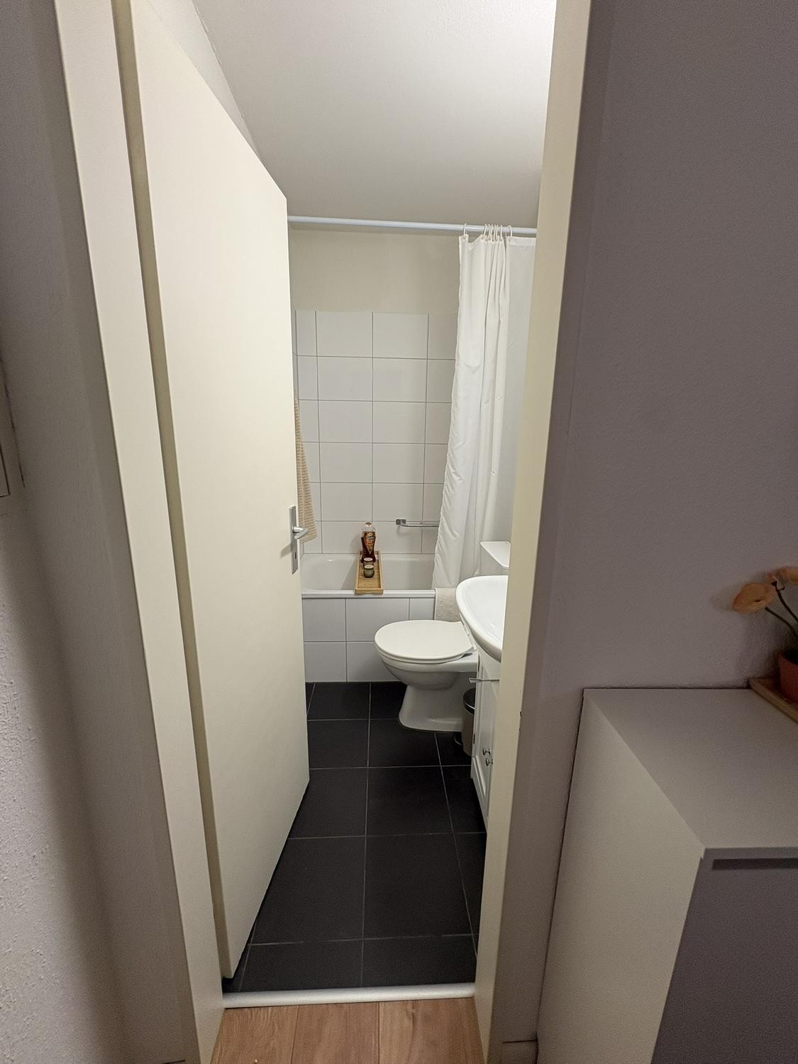 Appartamento di 1 ½ locali