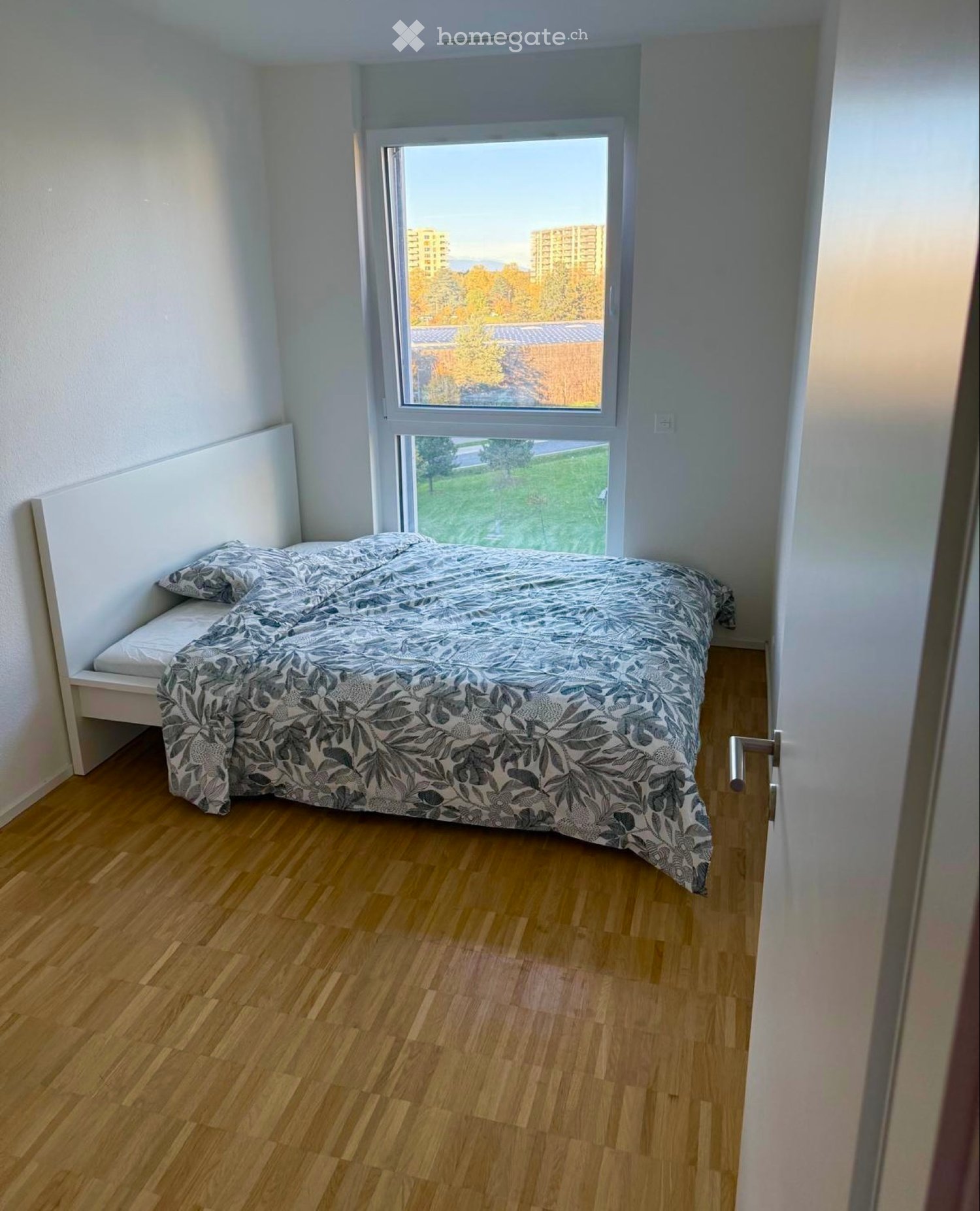 1 Zimmer Einzelzimmer