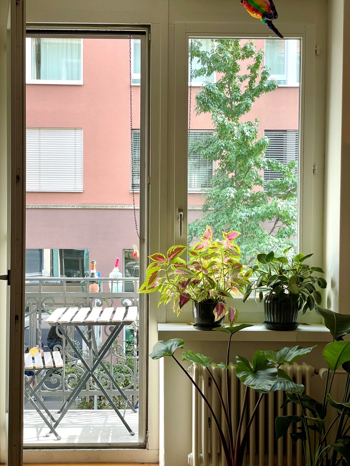 Chambre en colocation
