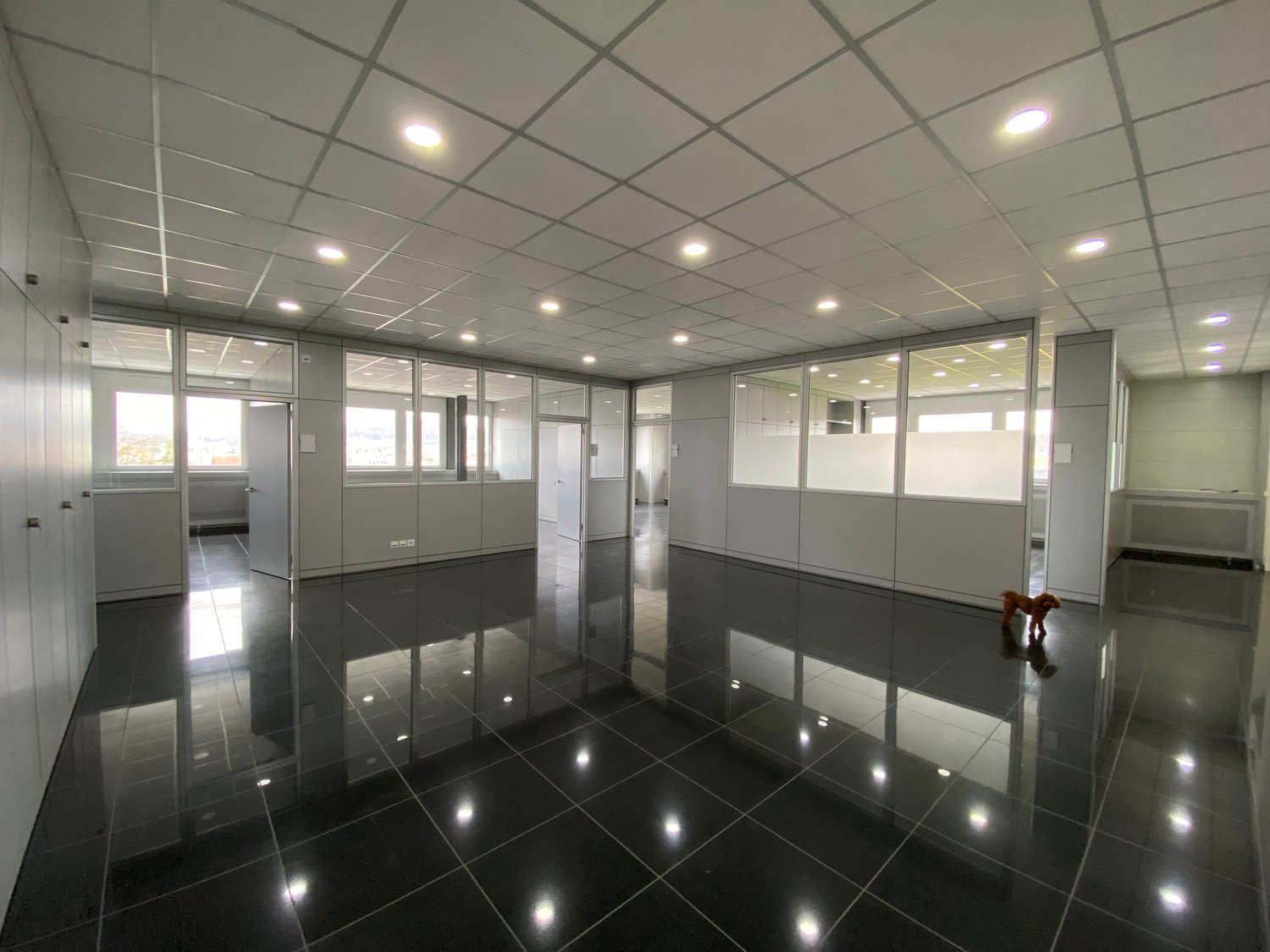 713m² commercial
