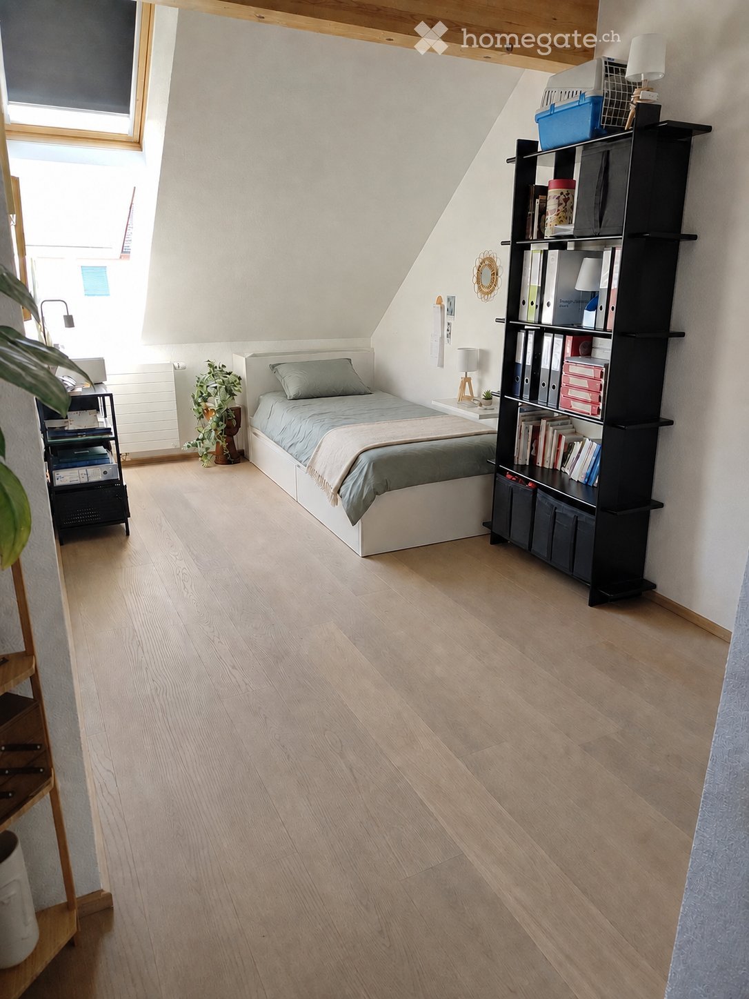 1 room single room