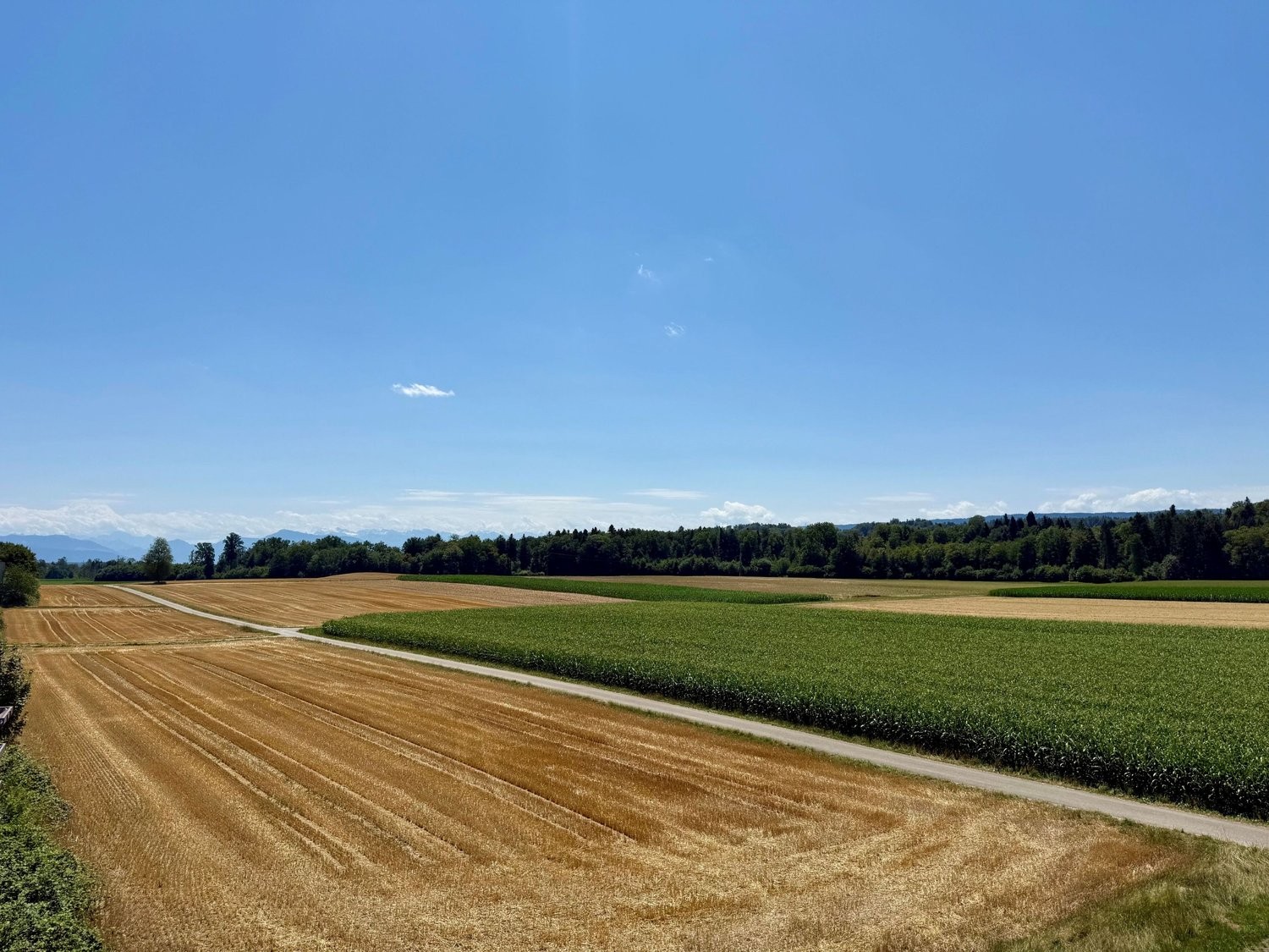 Appartamento mansardato di 5 ½ locali