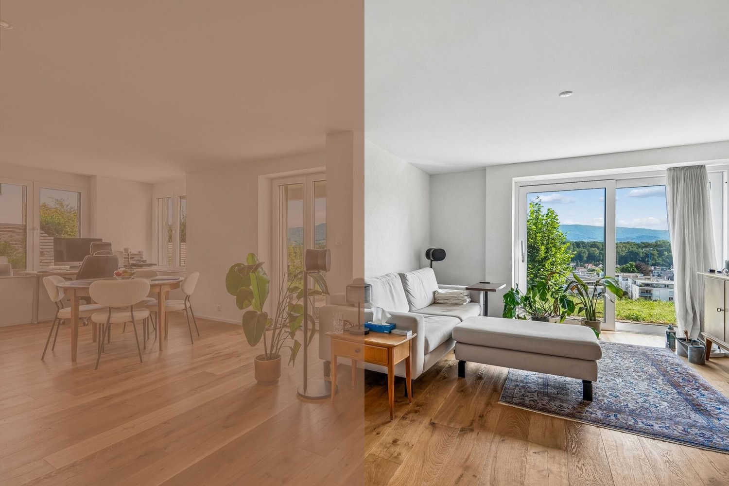 Appartement de 2 ½ pièces