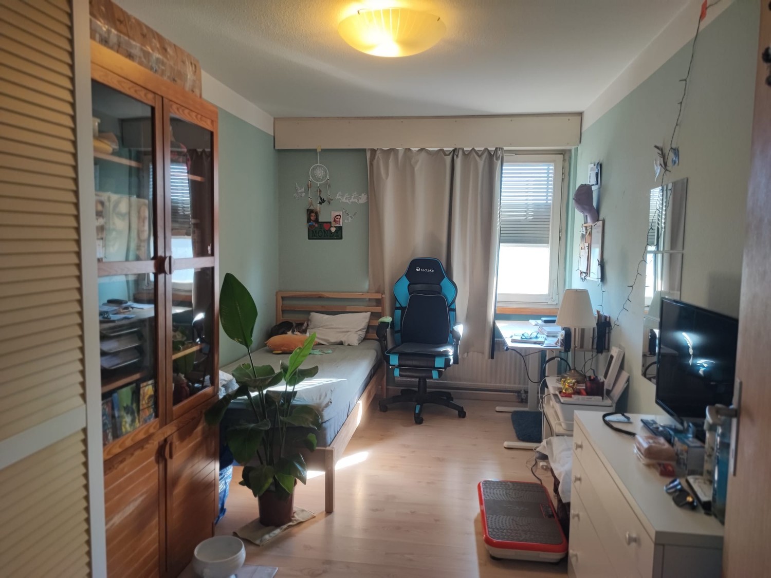 Room in a shared flat