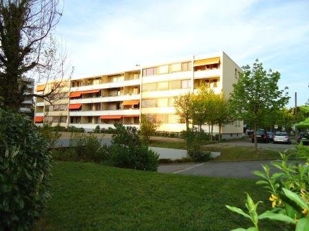 Appartement 1 pièce