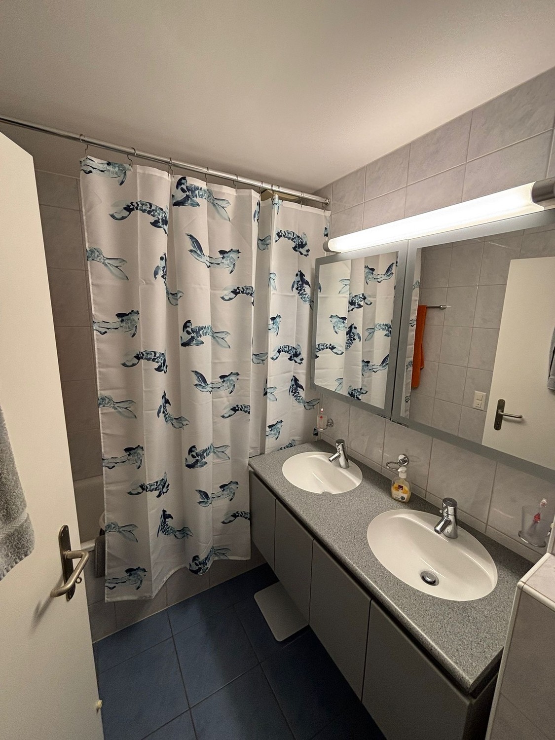 Appartamento di 3 ½ locali