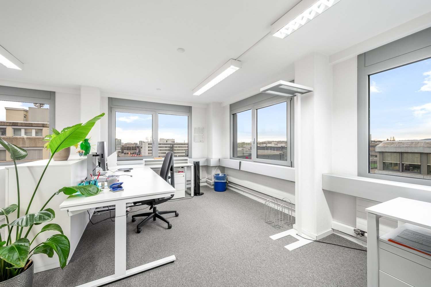 153m² office