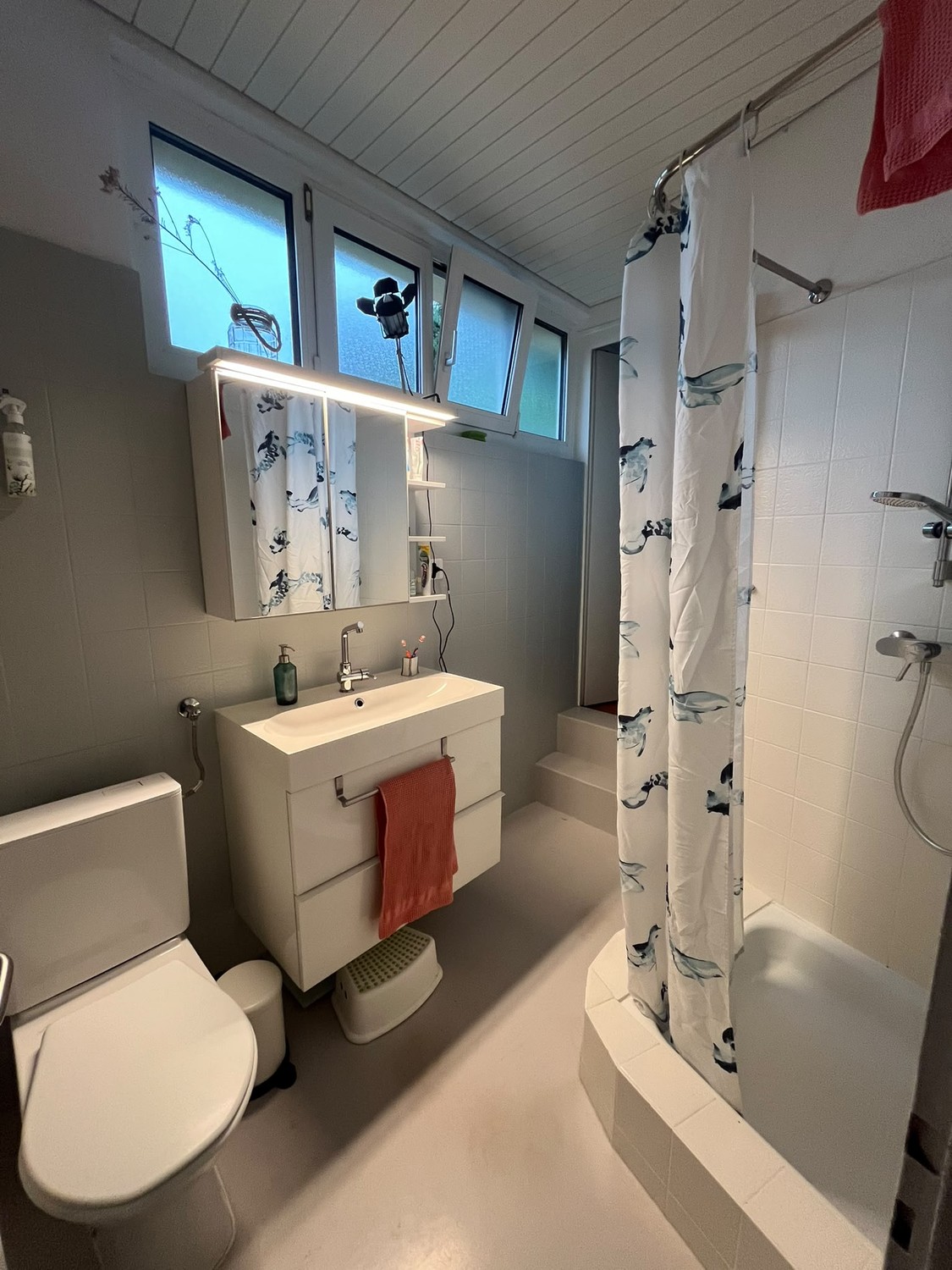 Room in a shared flat
