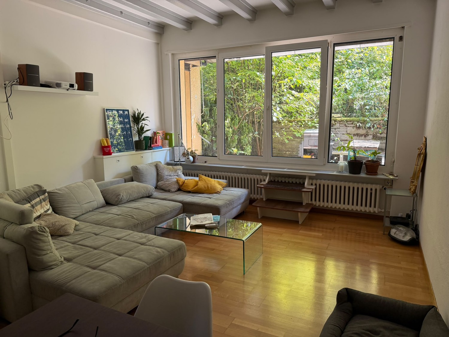 Room in a shared flat