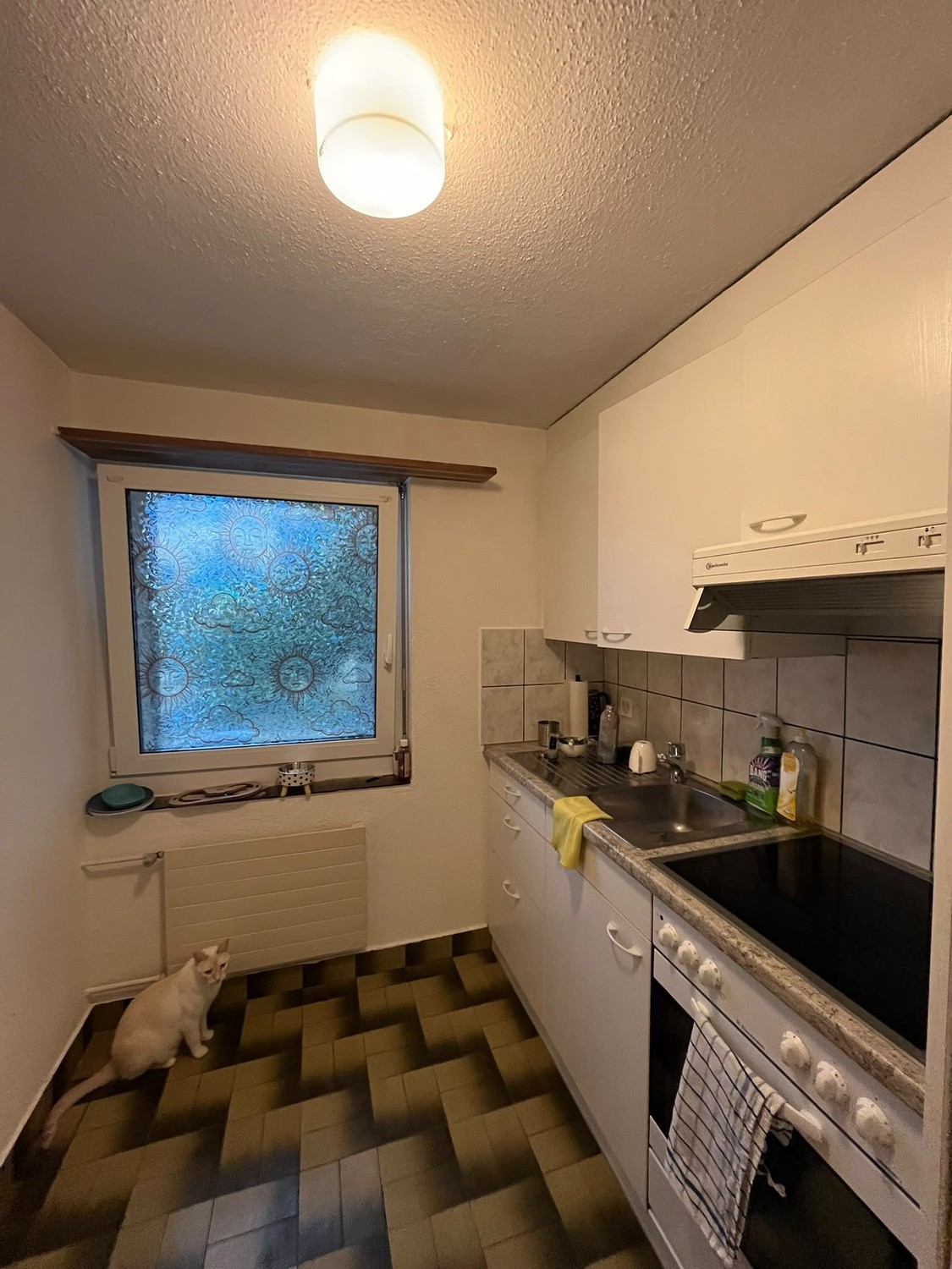 Appartamento di 2 ½ locali
