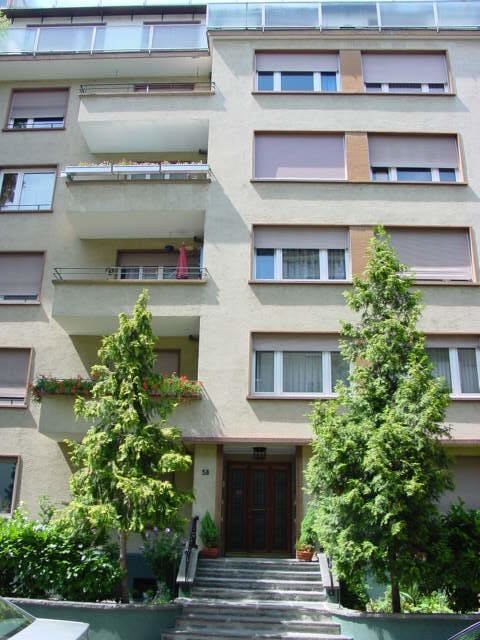 appartement 1 pièce