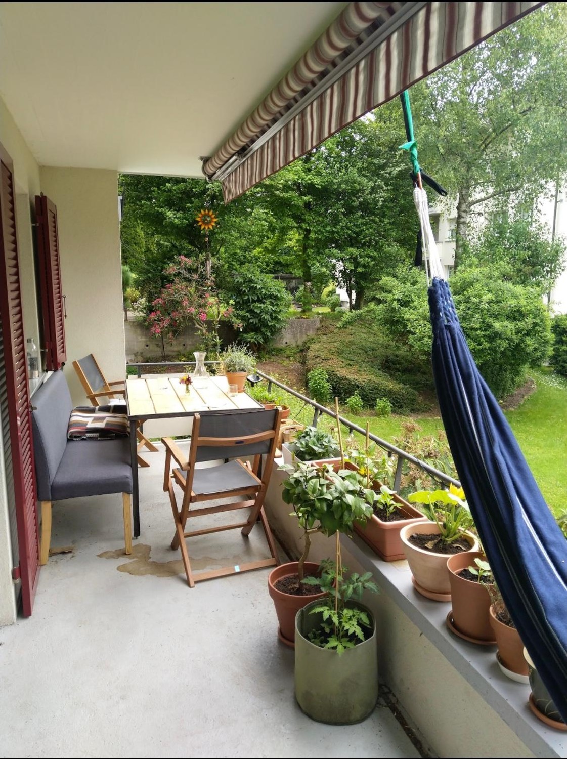 Room in a shared flat