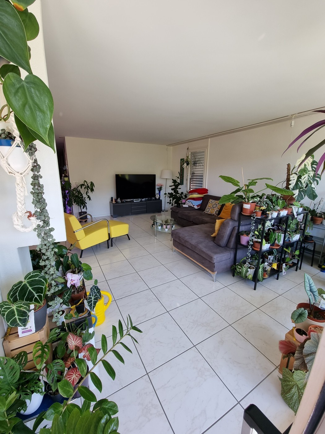 Chambre dans une colocation