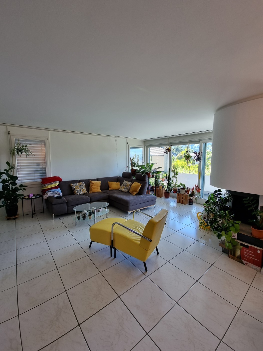 Chambre dans une colocation