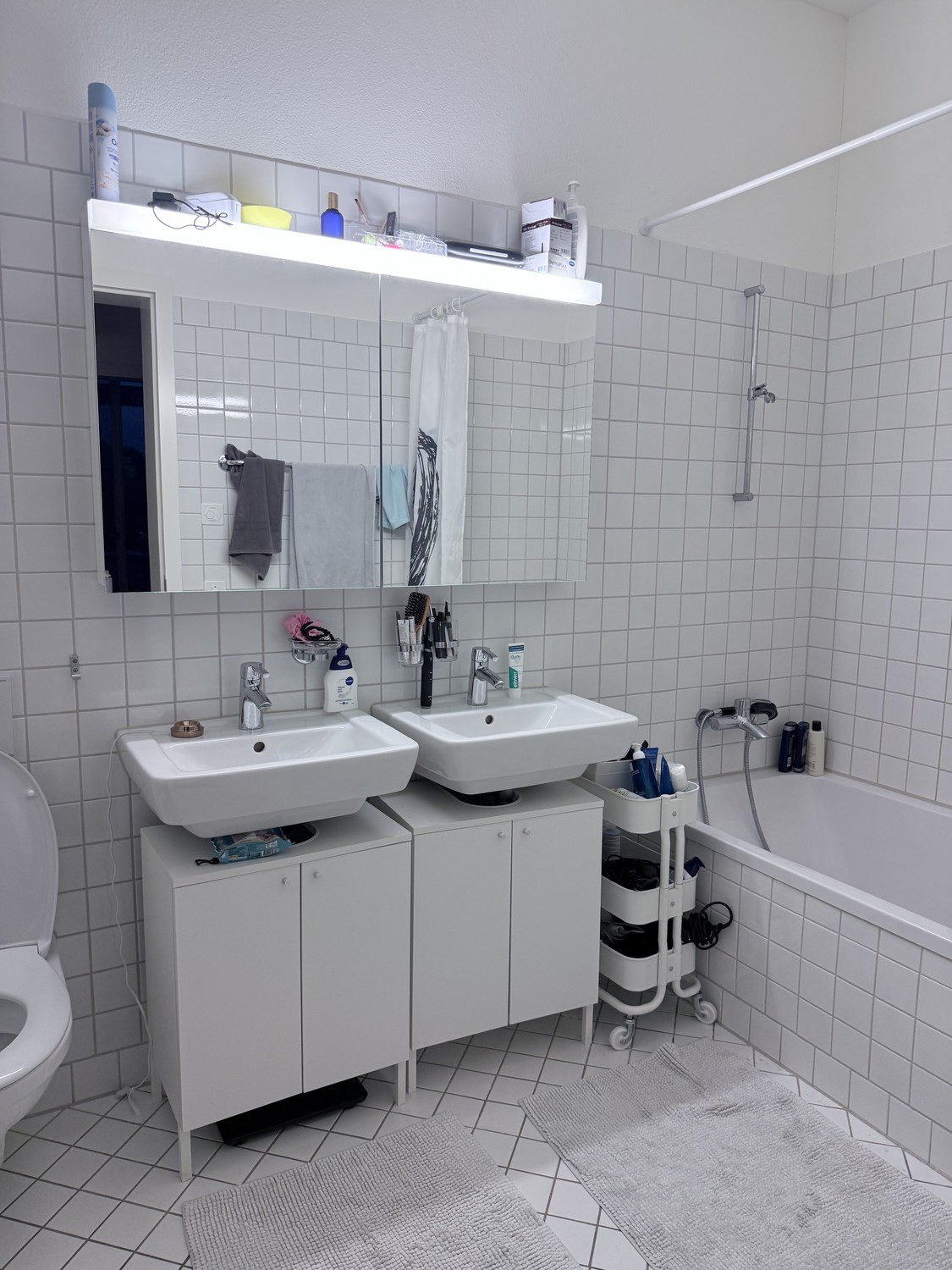 Appartement de 3 ½ pièces