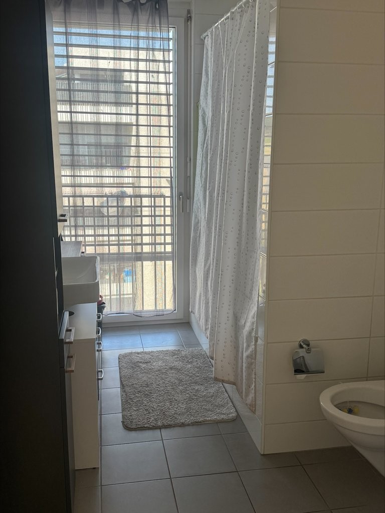 3 ½ Zimmer-Wohnung