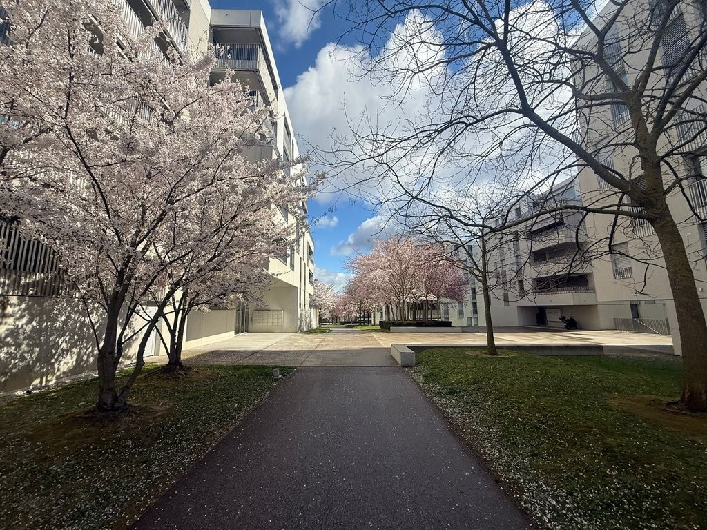 3 ½ Zimmer-Wohnung