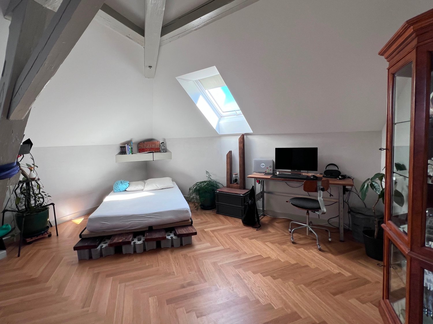 Room in a shared flat