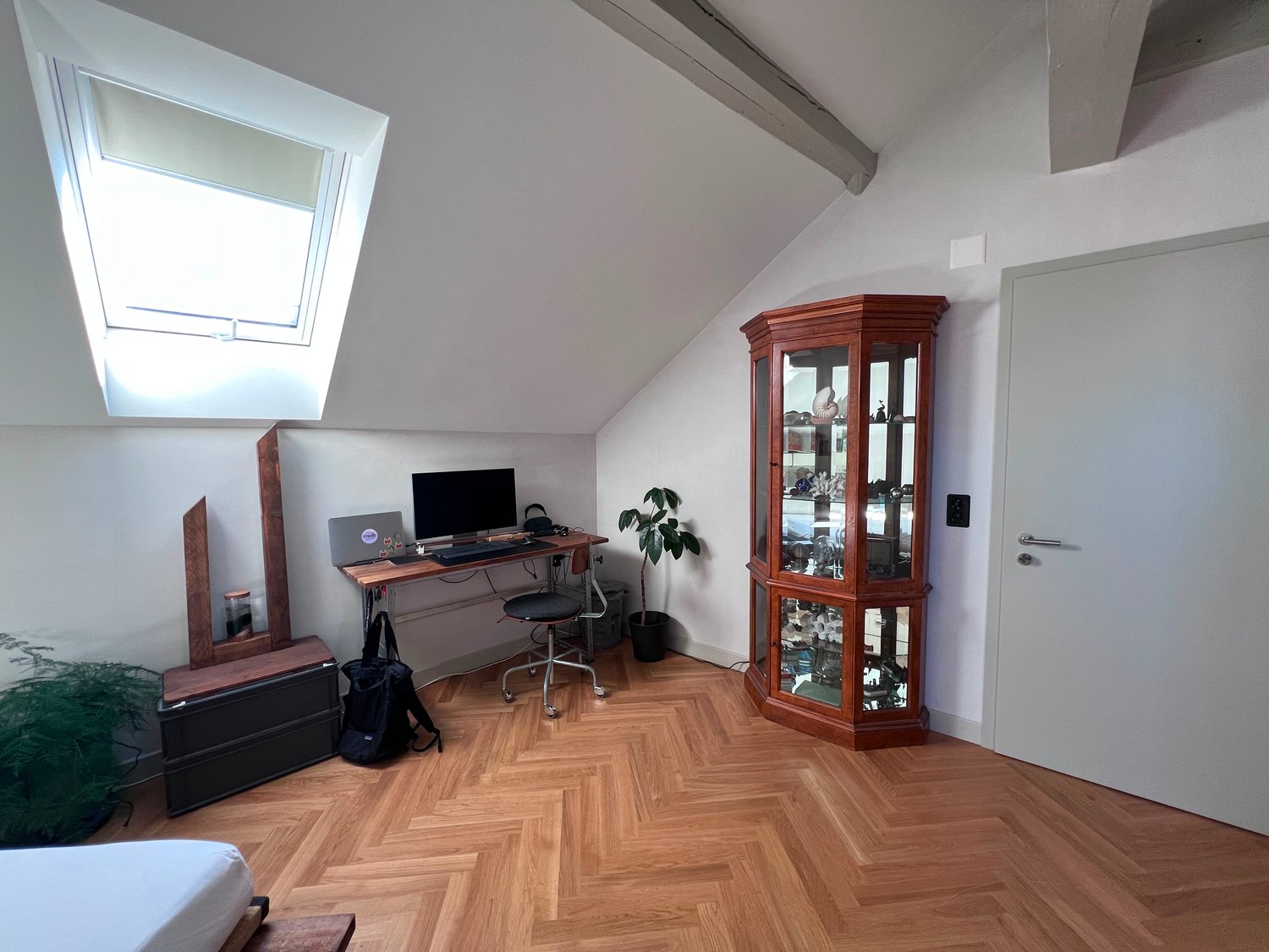 Room in a shared flat