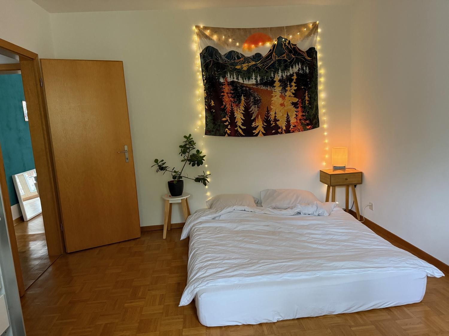 2 ½ rooms apartment