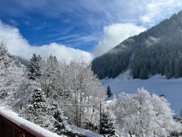 Appartamento 3 ½ locali