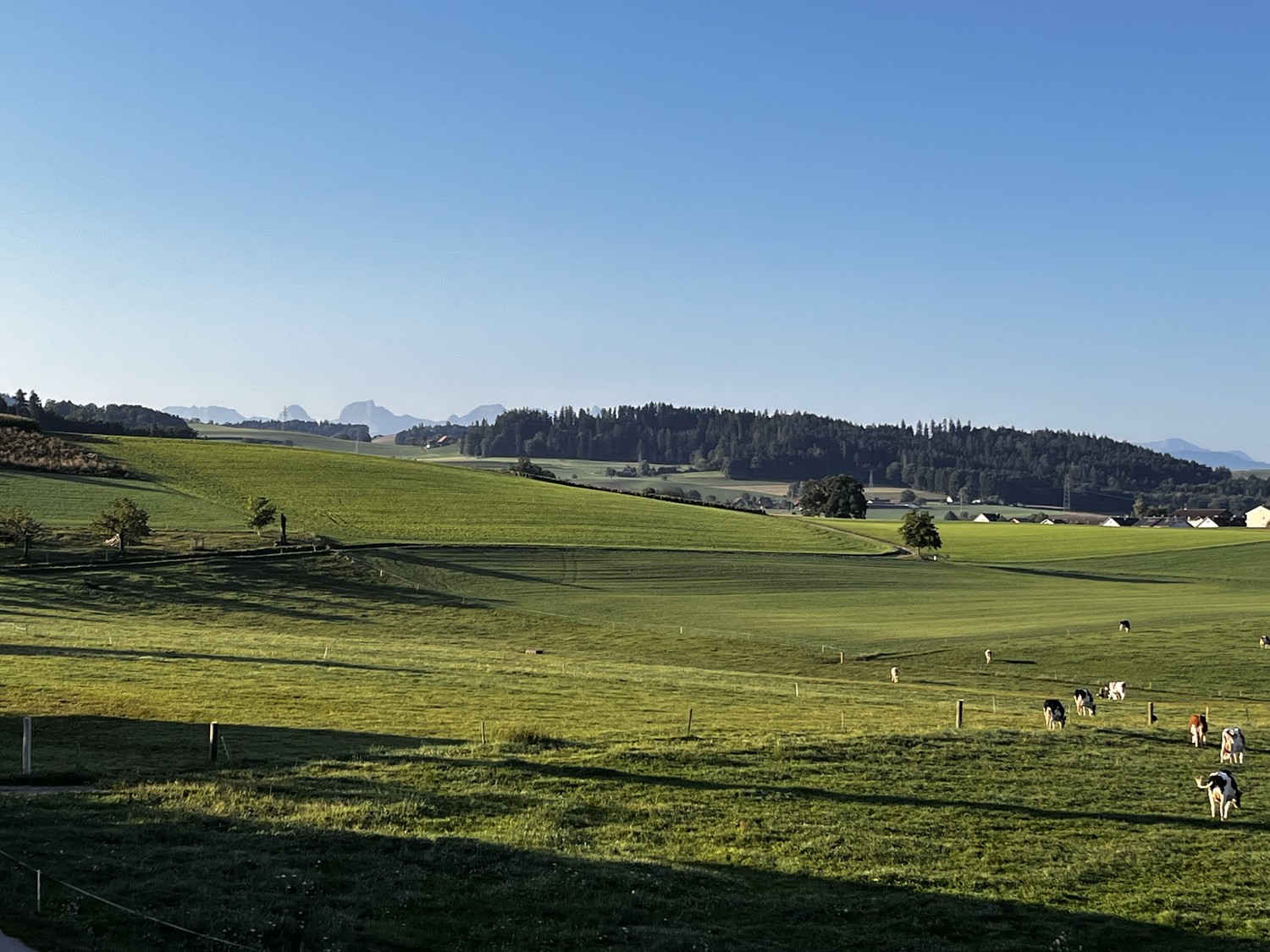 Appartamento di 5 ½ locali