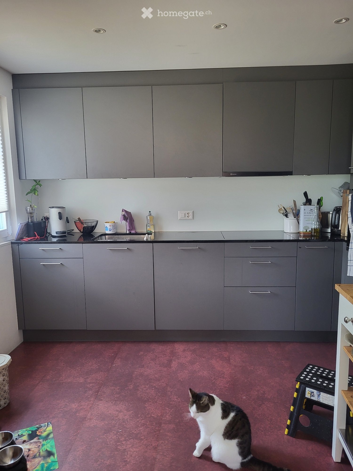 1 room single room