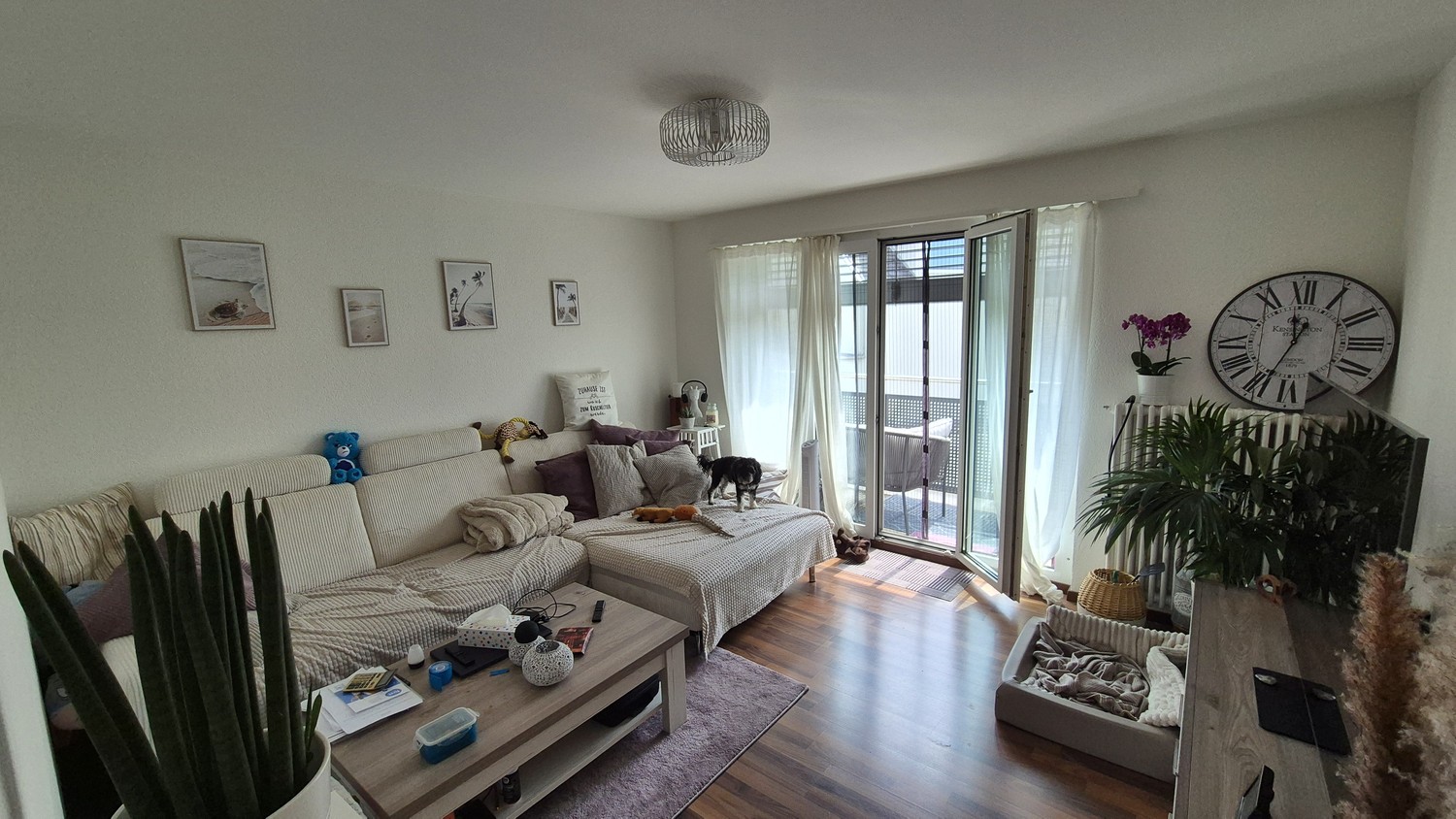 Appartement de 3 ½ pièces