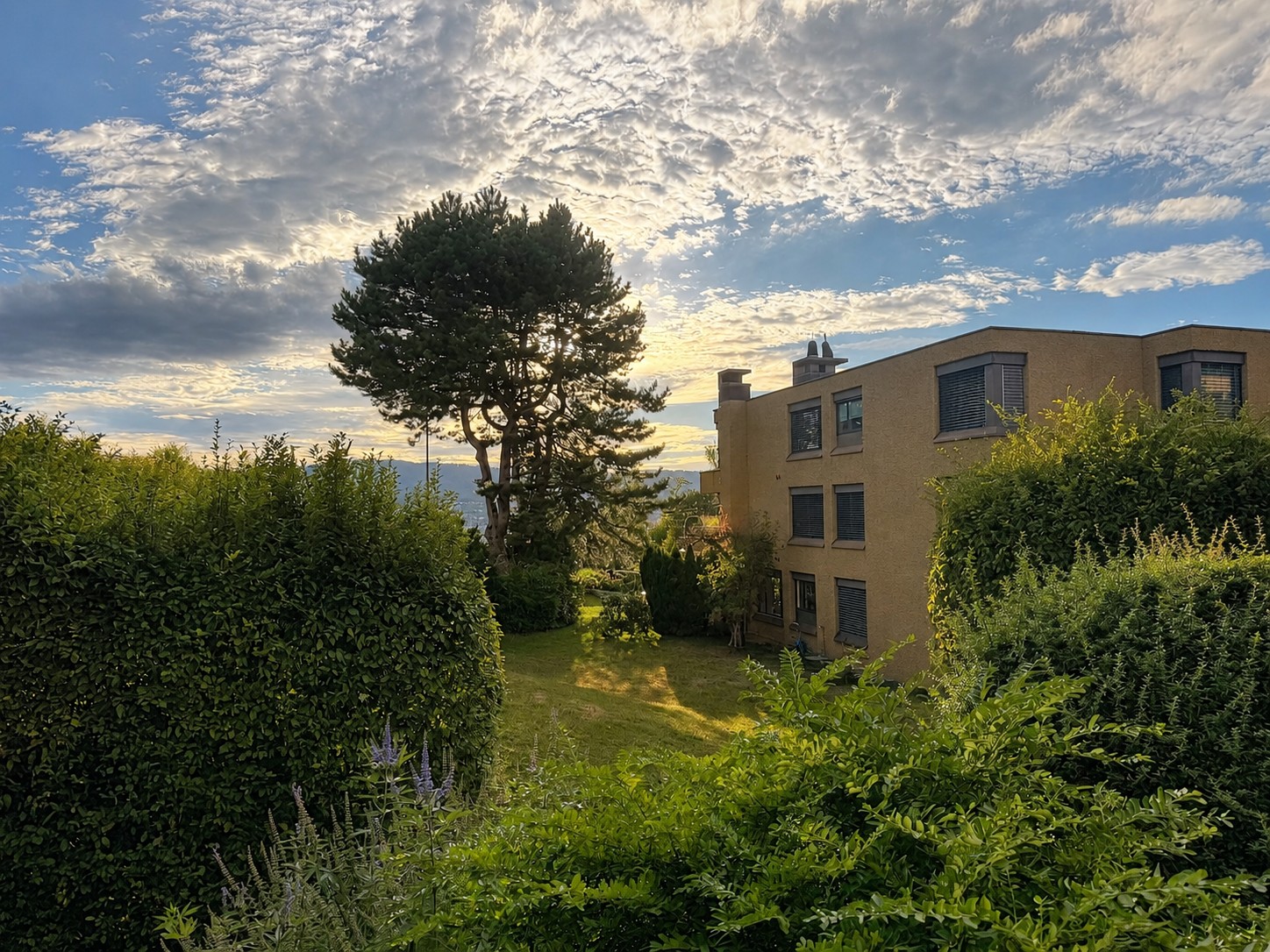 Appartement de 2 ½ pièces