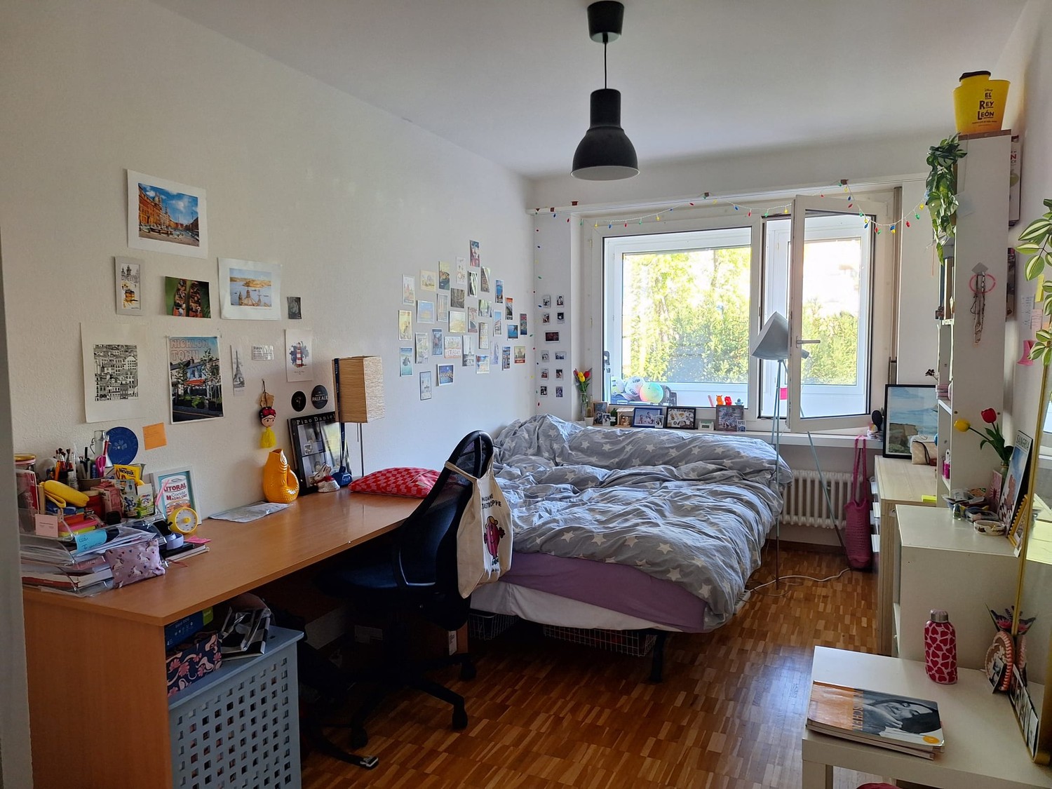 Stanza in un appartamento condiviso