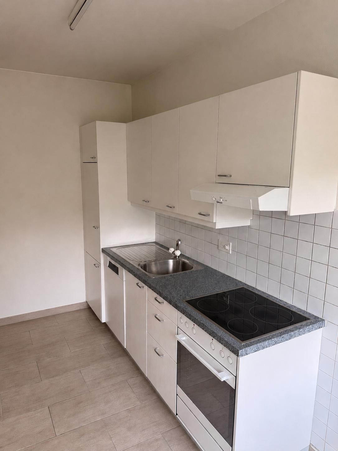 Appartement de 3 ½ pièces