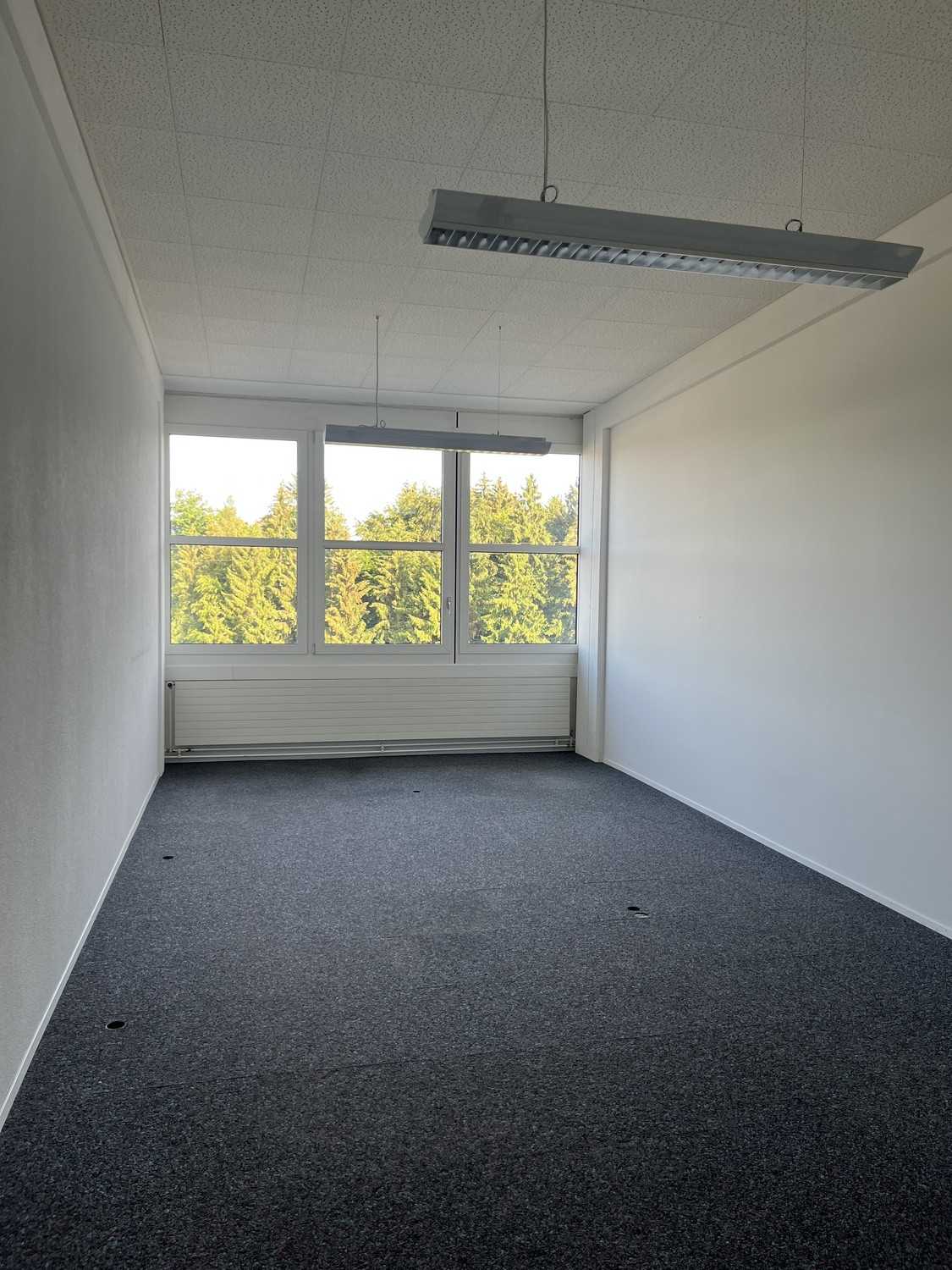 40m² commercial