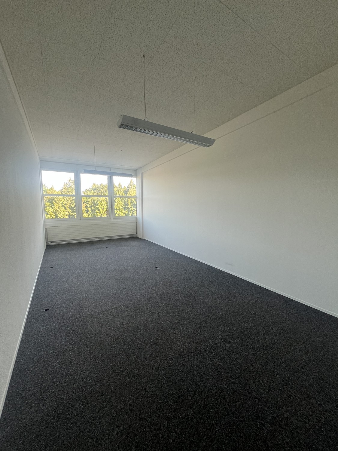 40m² commercial