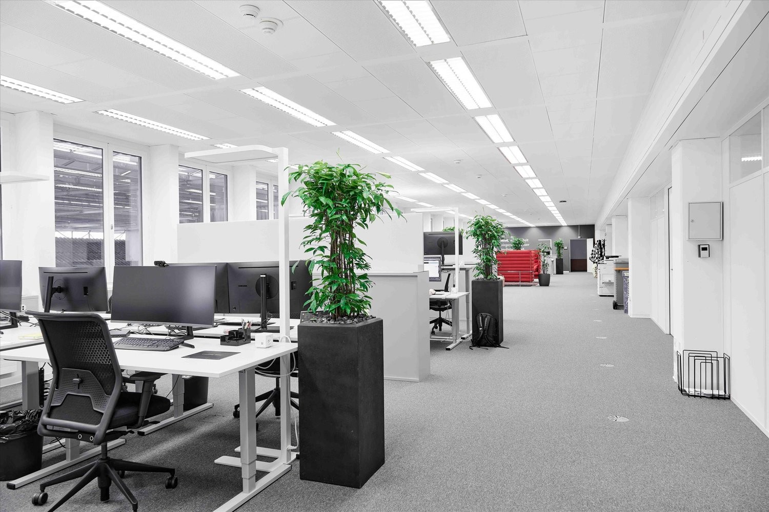 135m² ufficio