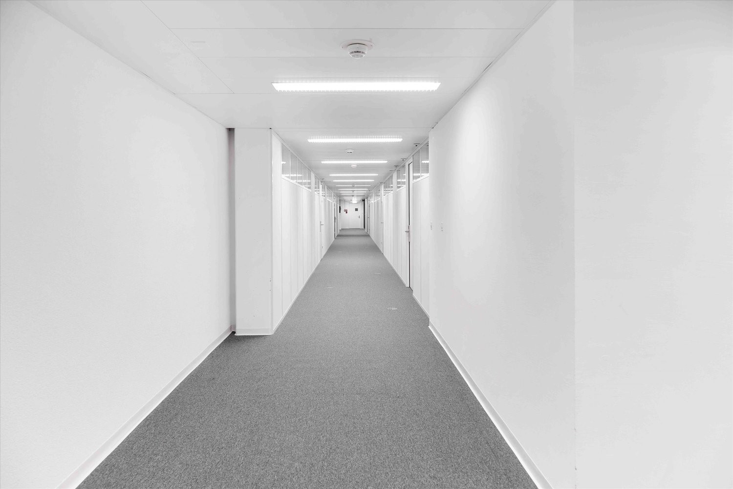 135m² ufficio