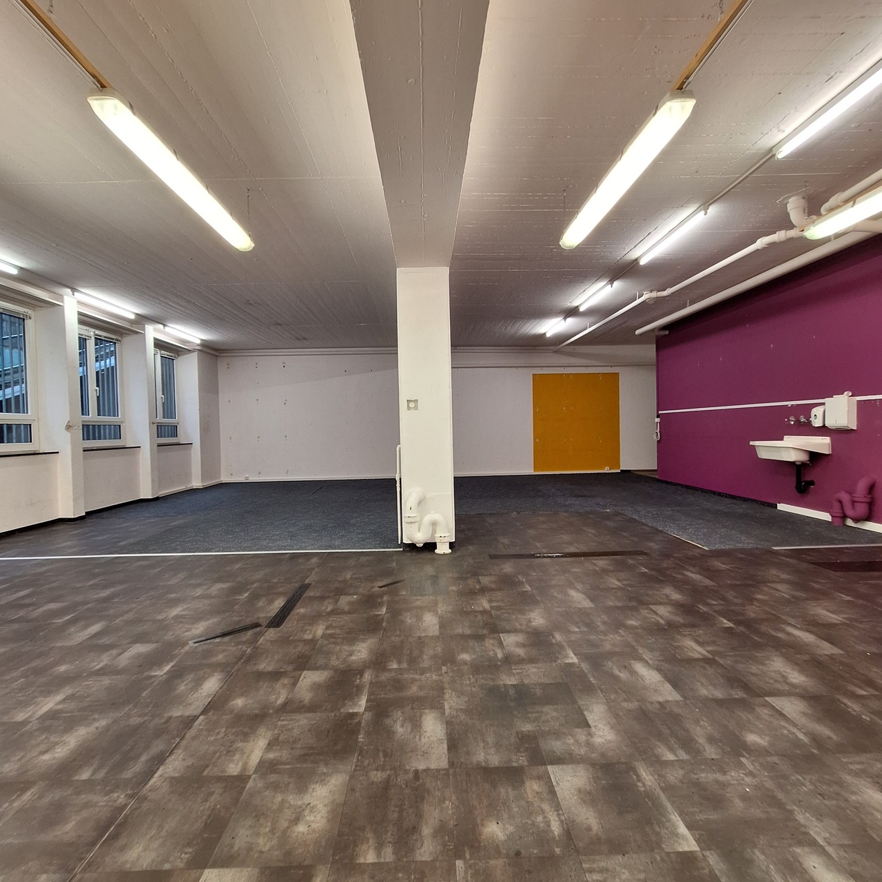 241m² commerciale