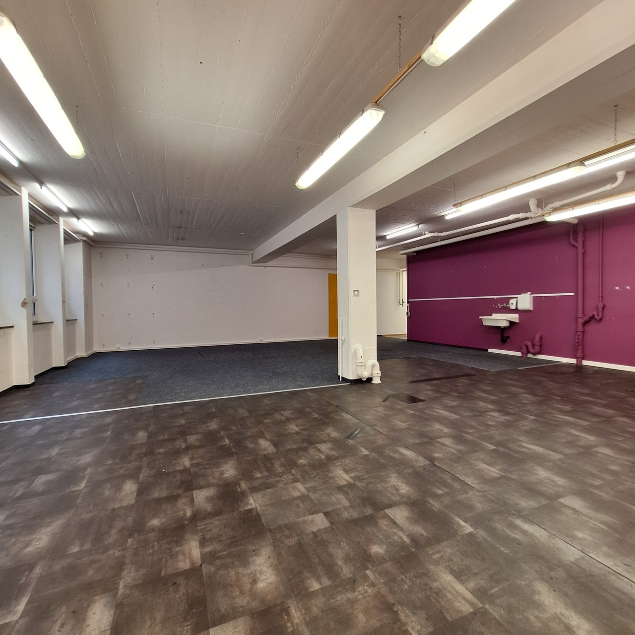 241m² commerciale
