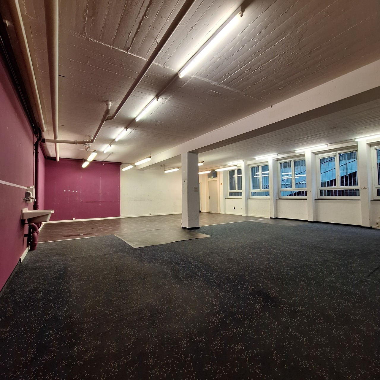 241m² commerciale