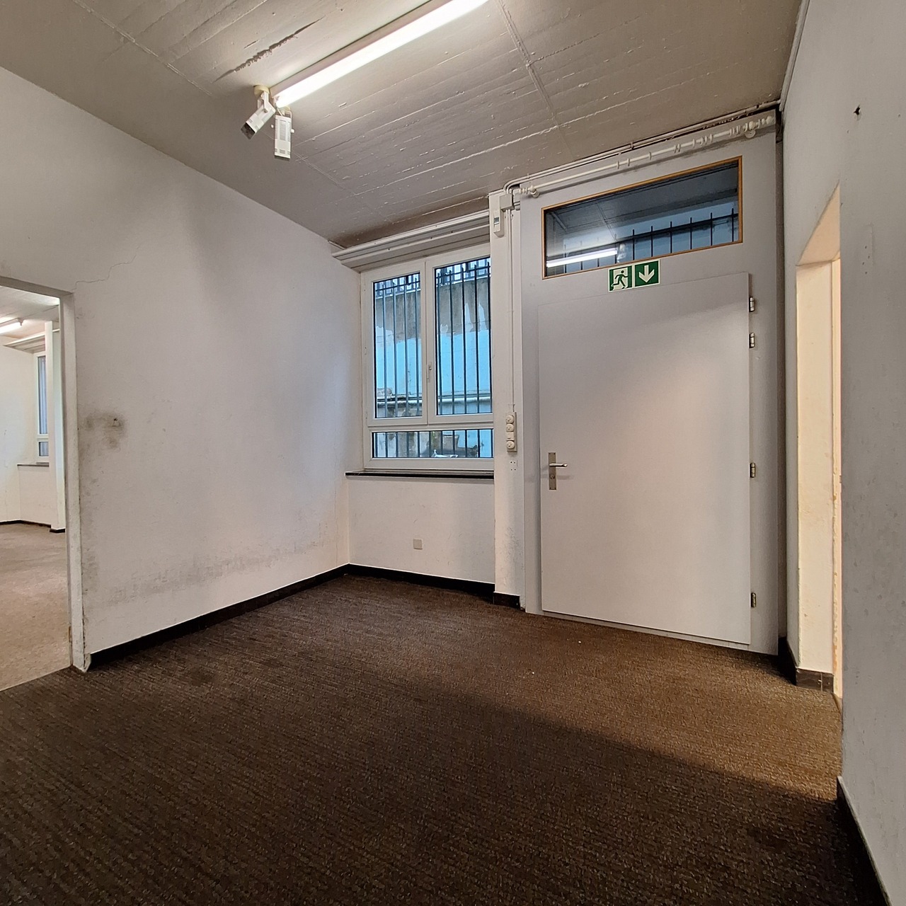 241m² commerciale