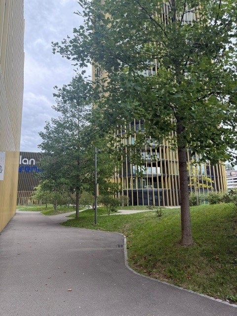 133m² commercial