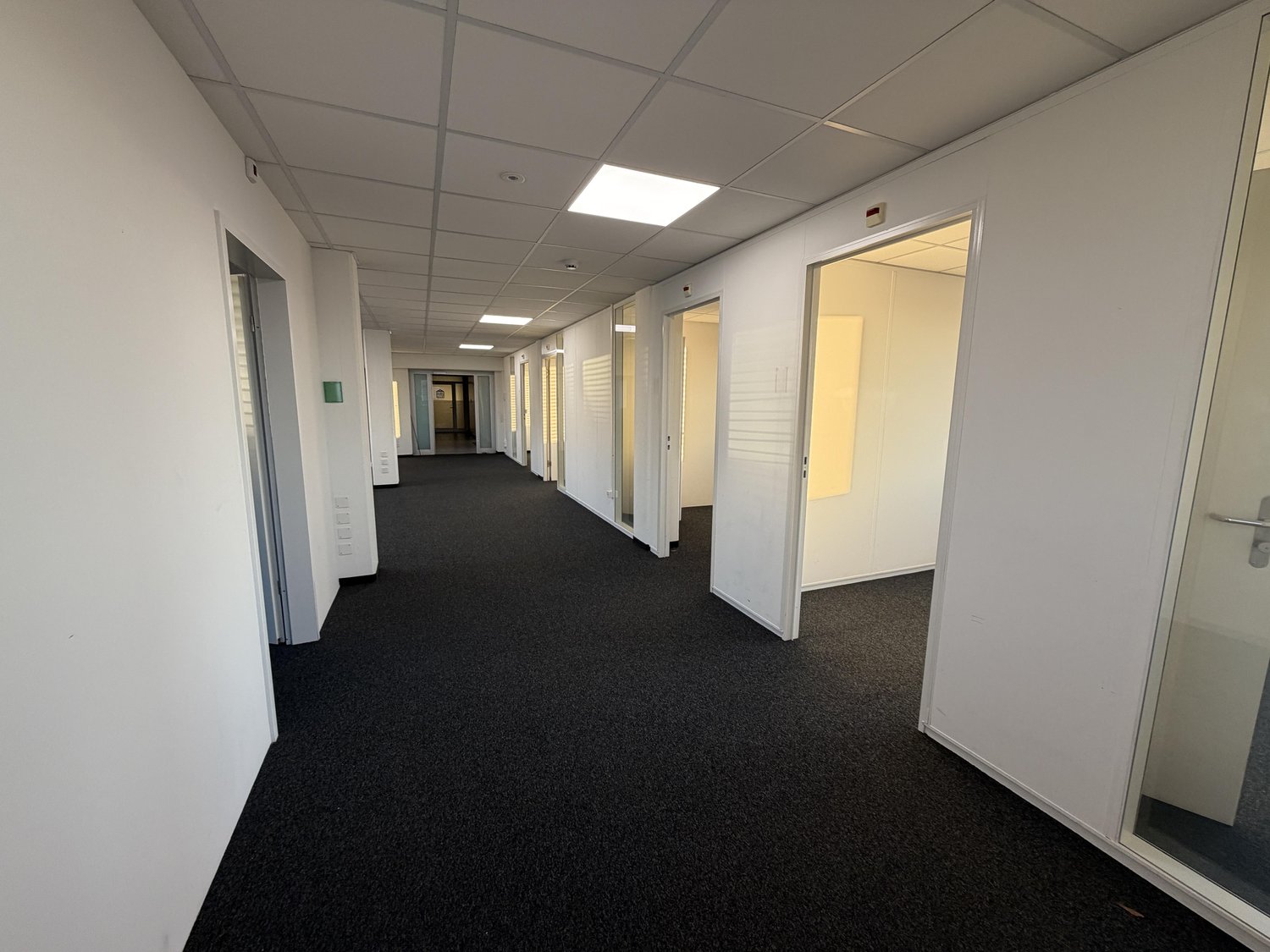 236m² office